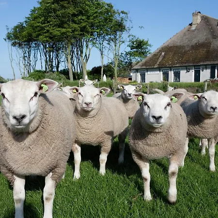 Charming Thatched In Texel Villa De Koog (Texel)